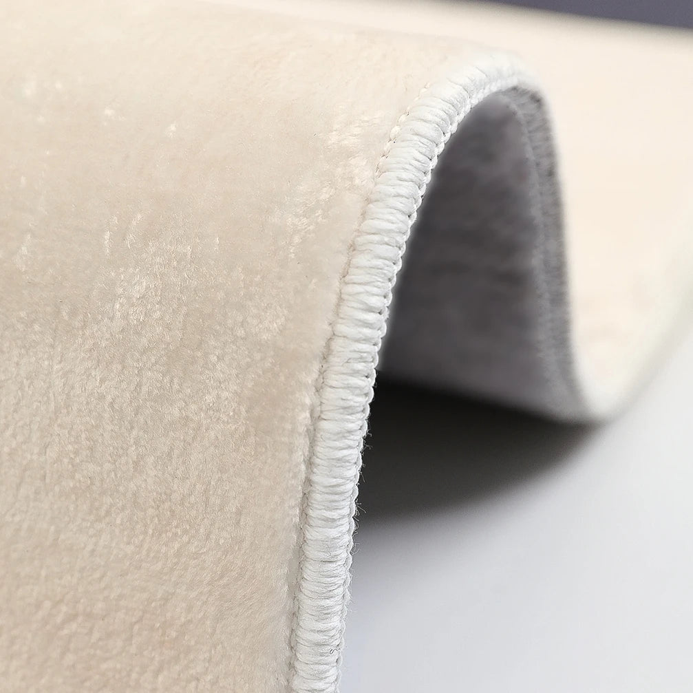Tapis moderne de salon minimaliste